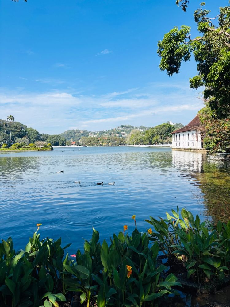 Погода в Kandy Lake