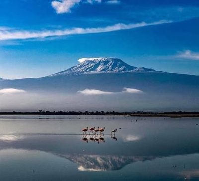 Kilimanjaro в мае — фото погоды (2019-05-22)