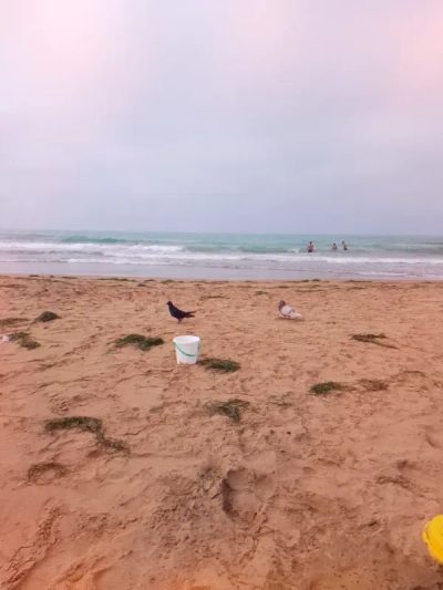 Marsa Ben Mehidi, Tlemcen, Algeria в июле — фото погоды (2026-07-02)