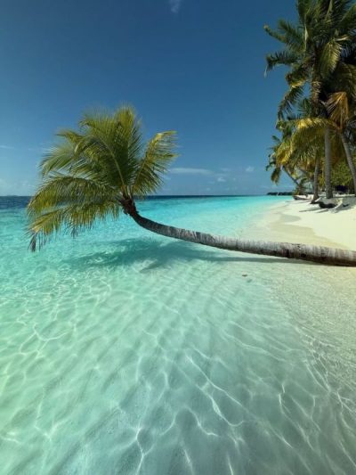 Vilamendhoo в июле — фото погоды (2025-07-27)
