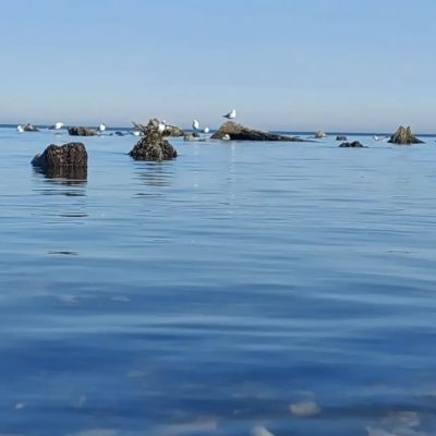Cranz, Kaliningradskaya Oblast', Russia в марте — фото погоды (2026-03-30)