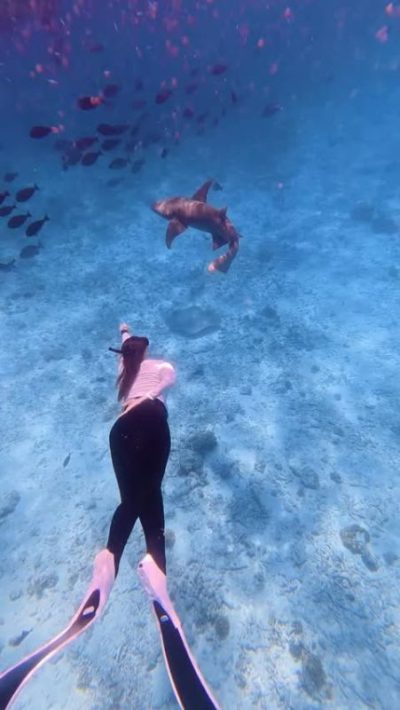 Manta Sea View-Himandhoo в январе — фото погоды (2026-01-27)