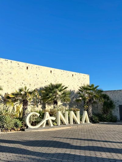 Canna Bali в июне — фото погоды (2026-06-02)