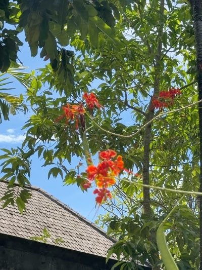 Hotel Indigo Bali Seminyak Beach — фото погоды в марте (2026-03-31)