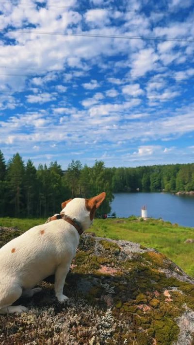 Viborg, Leningradskaya Oblast', Russia в июне — фото погоды (2026-06-28)