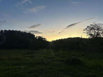 Manlag, Palawan, Philippines в феврале — фото погоды (2023-02-28)