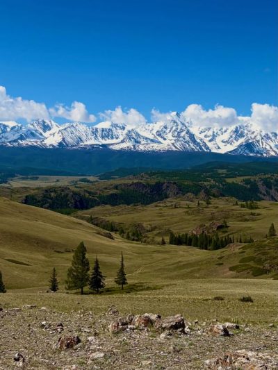 Kuray, Altay, Russia в июне — фото погоды (2026-06-06)
