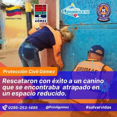 La Vecindad, Nueva Esparta, Venezuela — фото погоды в июле (2026-07-11)