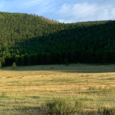 Khaga, Irkutskaya Oblast', Russia в августе — фото погоды (2020-08-03)