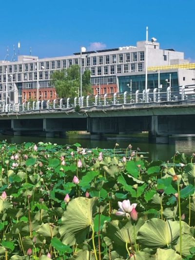 Sichuan University в июле — фото погоды (2026-07-16)