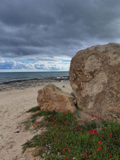 Agia Napa, Famagusta, Cyprus в марте — фото погоды (2026-03-26)