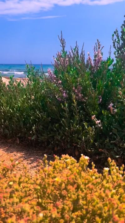 Agia Napa, Famagusta, Cyprus в июне — фото погоды (2026-06-17)