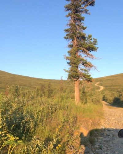 Stantsiya Buyba, Krasnoyarskiy Kray, Russia в июле — фото погоды (2018-07-12)