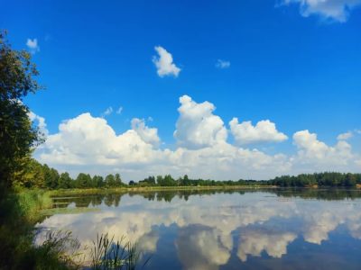 Nizino, Leningradskaya Oblast', Russia в июле — фото погоды (2025-07-26)