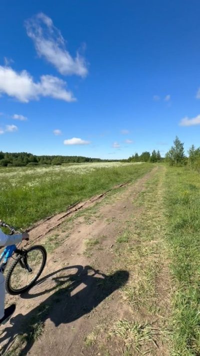 Nizino, Leningradskaya Oblast', Russia в июне — фото погоды (2026-06-14)