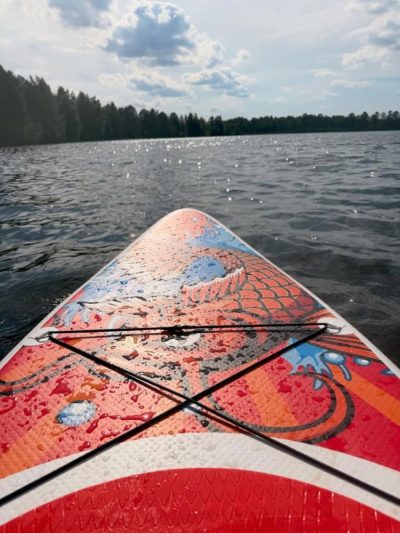 Nizino, Leningradskaya Oblast', Russia в июне — фото погоды (2026-06-21)