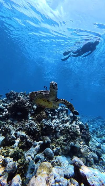 Baa Atoll в июне — фото погоды (2026-06-16)