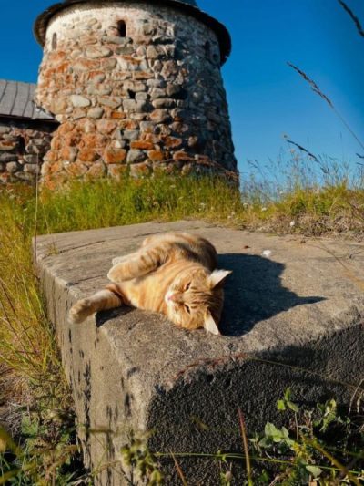 Solovetsky Islands в июле — фото погоды (2025-07-23)
