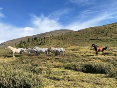 Chibit, Altay, Russia в сентябре — фото погоды (2025-09-05)