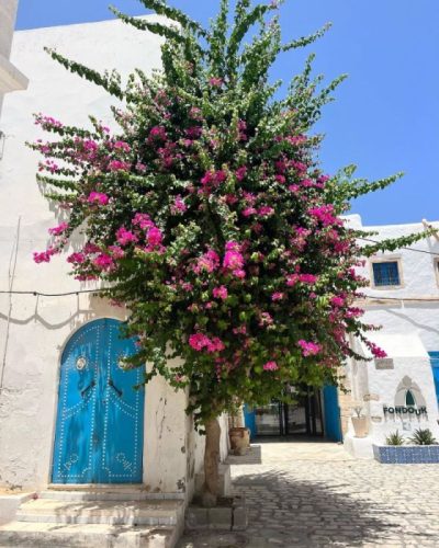 Houmt Souq, Madanin, Tunisia в июле — фото погоды (2023-07-21)