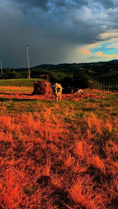 San Patrignano, Emilia-Romagna, Italy в июле — фото погоды (2025-07-27)