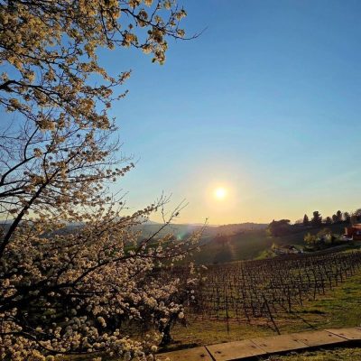 San Patrignano, Emilia-Romagna, Italy в марте — фото погоды (2026-03-20)