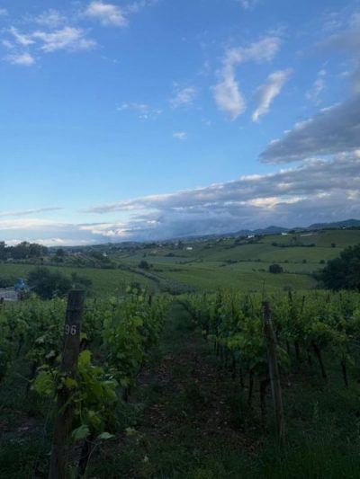 San Patrignano, Emilia-Romagna, Italy в мае — фото погоды (2026-05-13)
