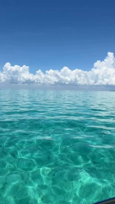 Ambergris Caye в июле — фото погоды (2026-07-08)