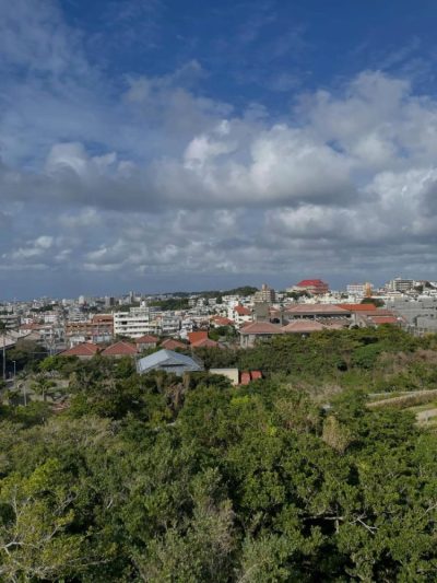 Shuri Castle в марте — фото погоды (2026-03-11)