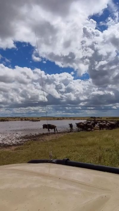 Serengeti National Park в июле — фото погоды (2026-07-04)