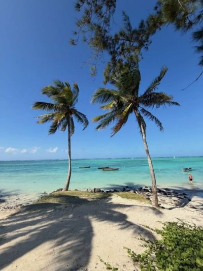 Mauritius Island в марте — фото погоды (2026-03-29)