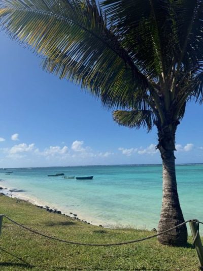 Mauritius Island в марте — фото погоды (2026-03-29)