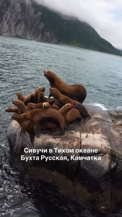 Бухта Русская в декабре — фото погоды (2025-12-18)