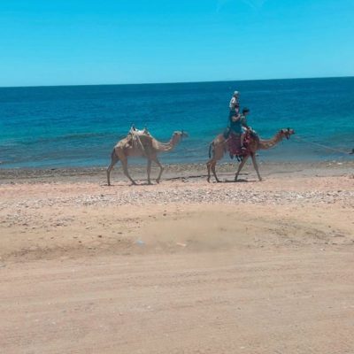 Ras Shaitan, Taba. в июне — фото погоды (2026-06-02)
