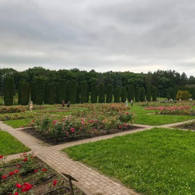 Кисловодский Парк Долина Роз в июне — фото погоды (2026-06-23)