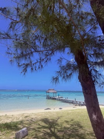 Bel Ombre, Savanne, Mauritius в январе — фото погоды (2026-01-17)