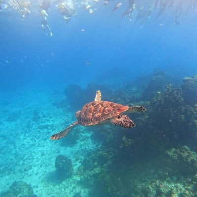 El Cielito Cozumel в октябре — фото погоды (2025-10-22)