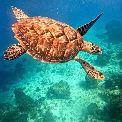 El Cielito Cozumel в октябре — фото погоды (2025-10-22)