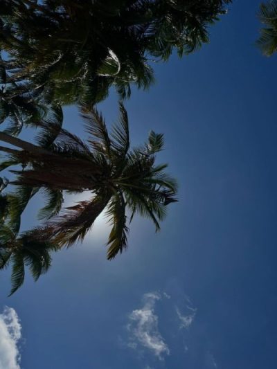 El Cielito Cozumel в январе — фото погоды (2026-01-17)
