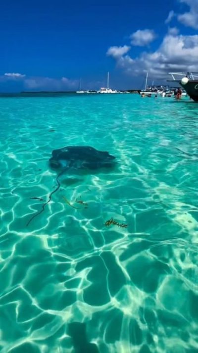 El Cielito Cozumel в феврале — фото погоды (2026-02-26)