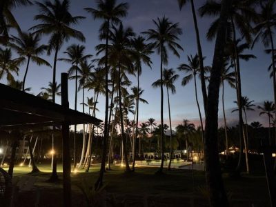 Viva Wyndham V Samaná в ноябре — фото погоды (2025-11-25)