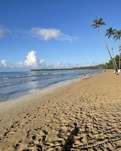 Viva Wyndham V Samaná в январе — фото погоды (2026-01-24)
