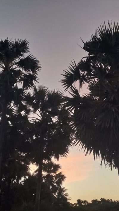 Uppuveli, Sri Lanka в сентябре — фото погоды (2025-09-29)