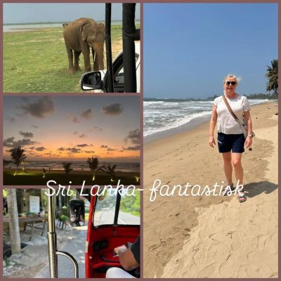 EKHO Surf Bentota в ноябре — фото погоды (2025-11-03)