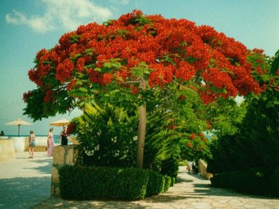 Marsa Matrouh в июне — фото погоды (2026-06-21)