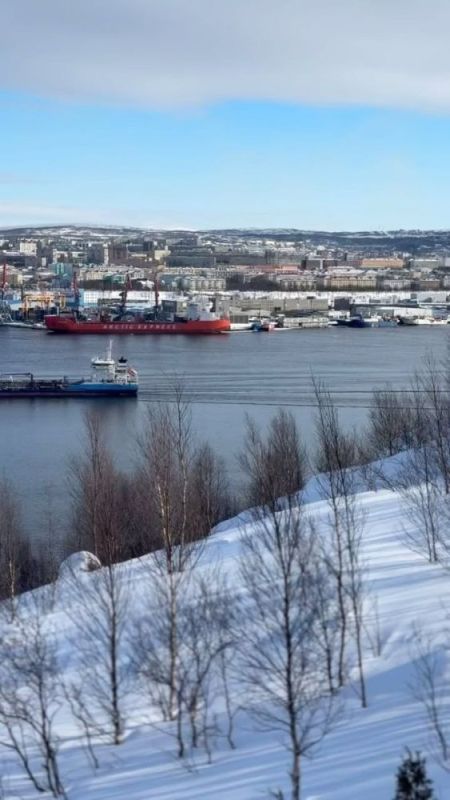 Погода в Кольский залив