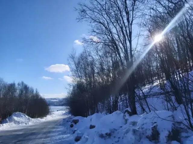 Погода в Кольский залив