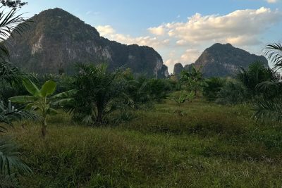 Krabi Province в июле — фото погоды (2026-07-13)