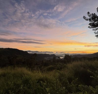 W15 Hanthana Estate - Kandy в ноябре — фото погоды (2025-11-22)