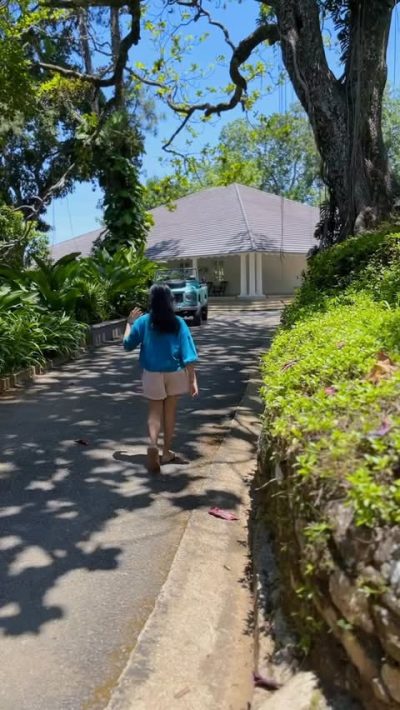 W15 Hanthana Estate - Kandy в январе — фото погоды (2026-01-08)
